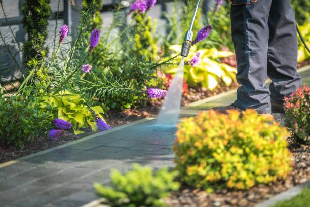 Best Patio and Deck Pressure Washing  in Wildwood, NJ